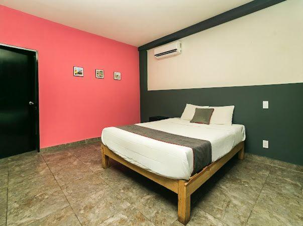 Adhoc Plaza Hotel Monterrey Ngoại thất bức ảnh