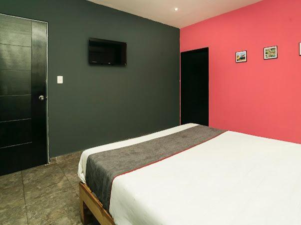Adhoc Plaza Hotel Monterrey Ngoại thất bức ảnh